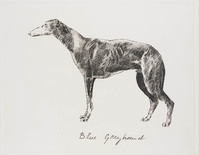 KG 16575
          <br/>
          'Blue Greyhound'
          <br/>
          <em>Polak, Jan (1947)</em>